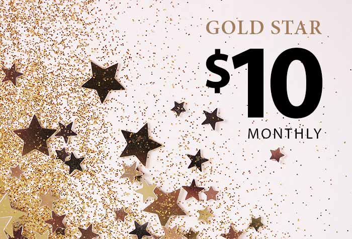 $10/Month - Gold Star